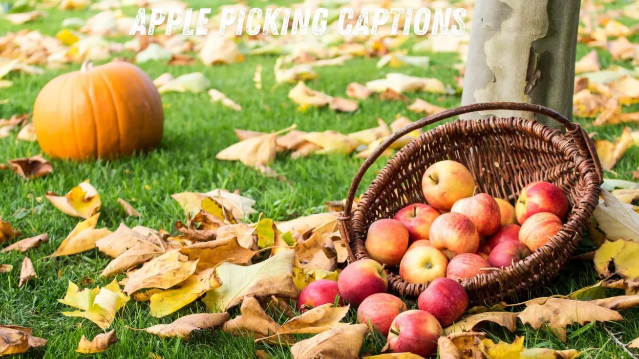 Apple Picking Captions