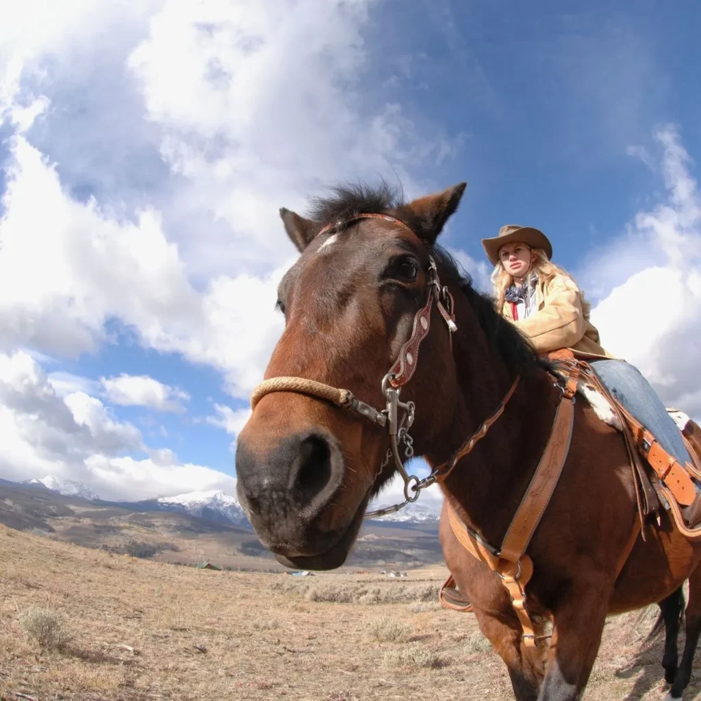 Cowgirl Captions for Instagram Funny