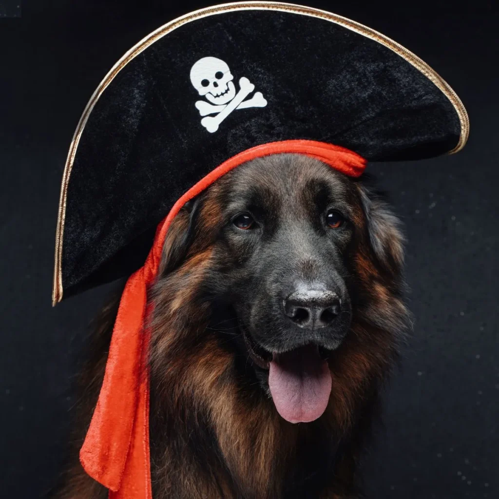 Funny Pirate Captions