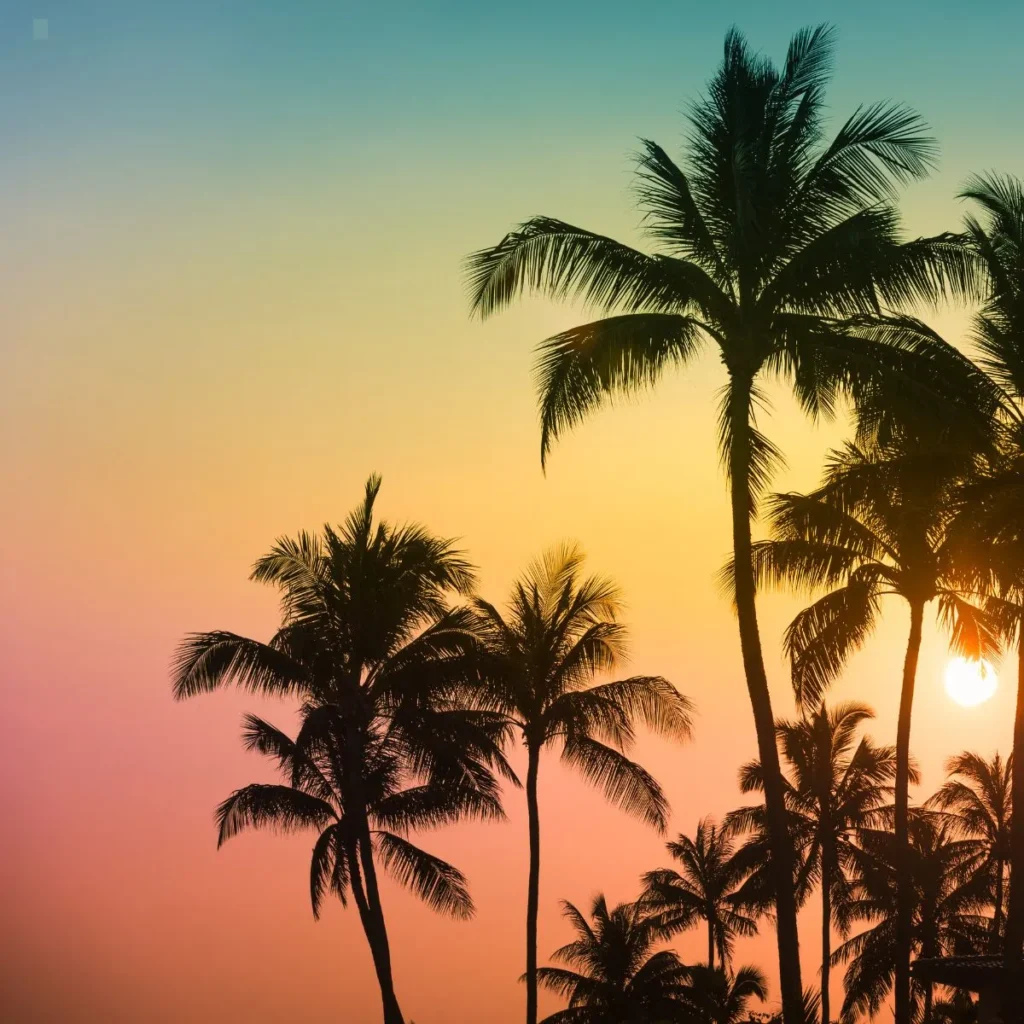 Island Captions Instagram