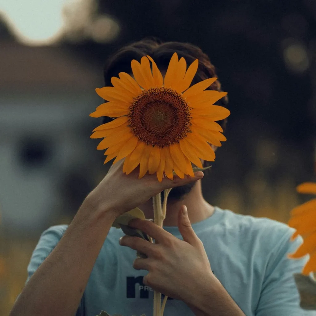 Short Sunflower Captions for Instagram