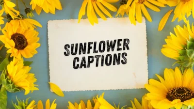 Sunflower Captions