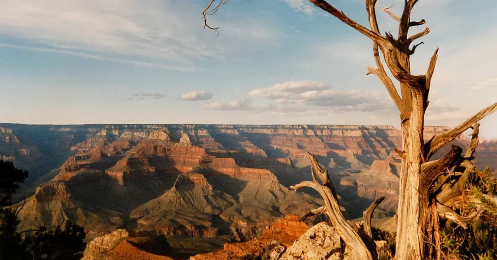 Clever Grand Canyon Captions