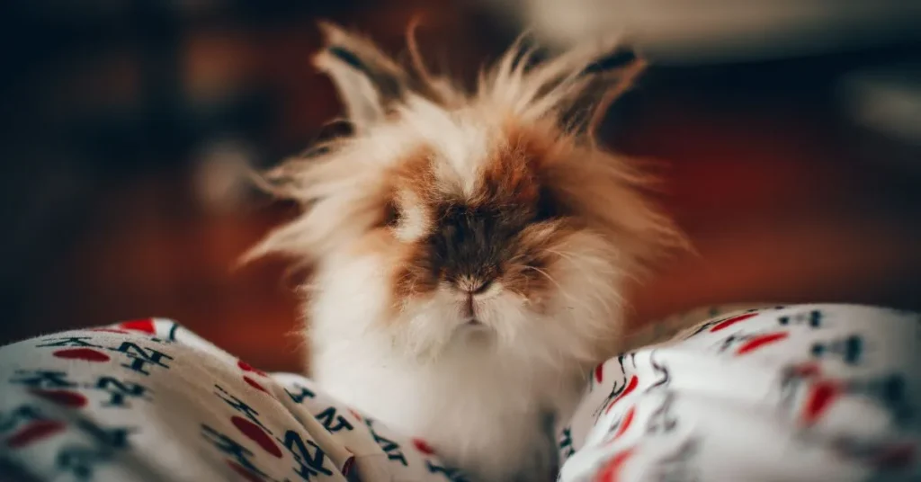 Cute End of Year Instagram Captions