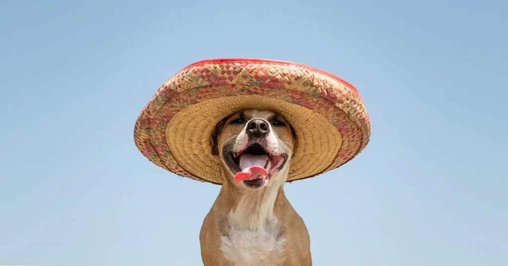 Cute Mexico Captions