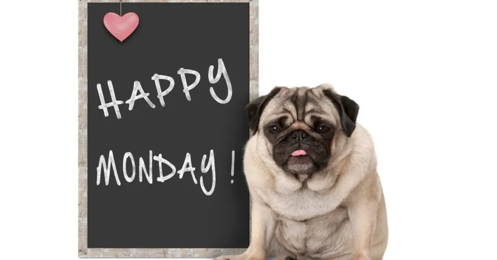 Happy Monday Captions