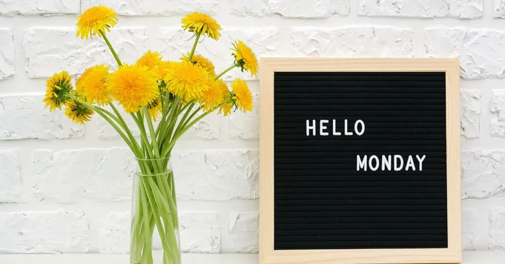 Monday Captions for Instagram