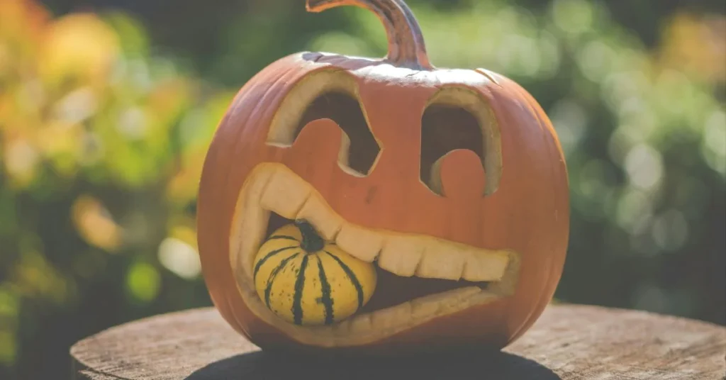 Pumpkin Patch Captions for Instagram Funny