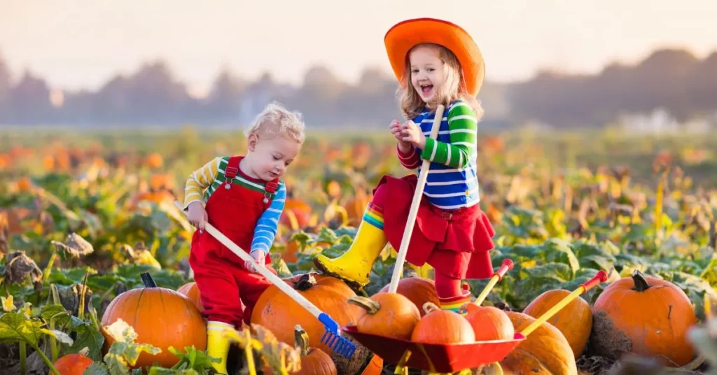 Cute Pumpkin Patch Captions for Instagram