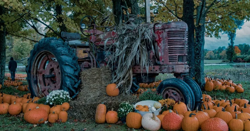 Cute Pumpkin Patch Instagram Captions