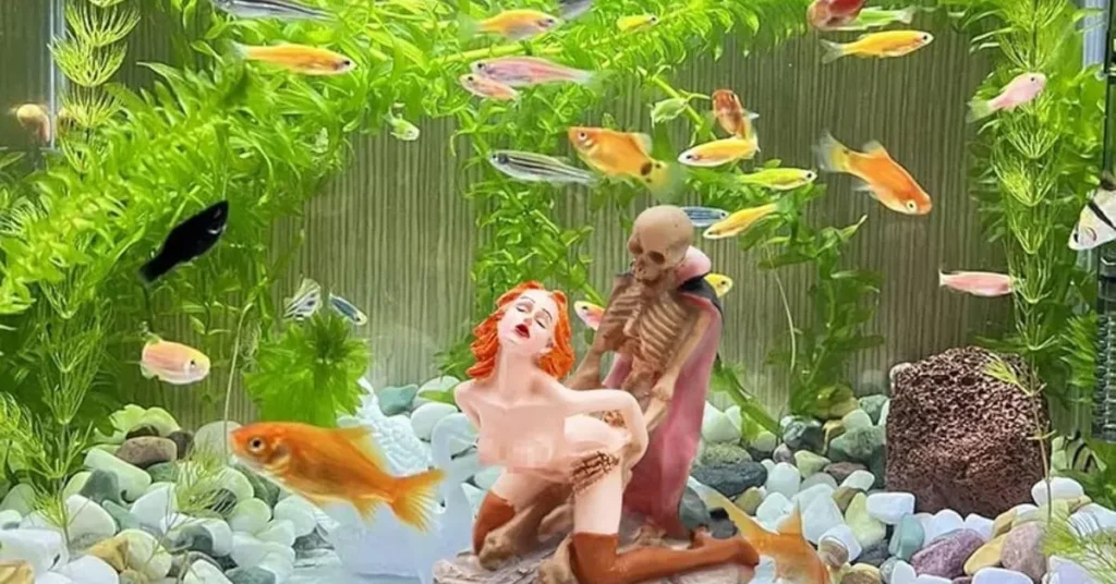 Funny Aquarium Captions