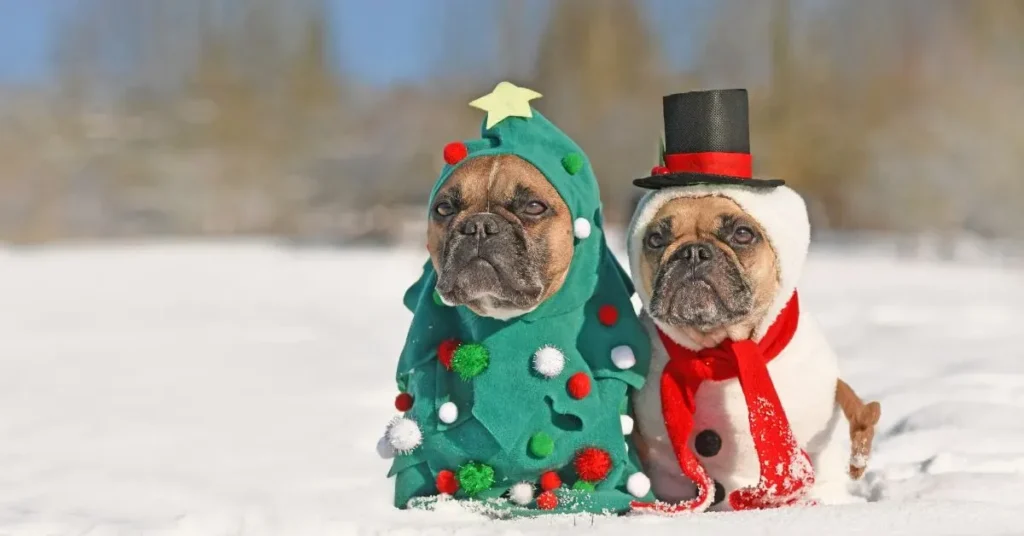 Funny winter captions for Instagram