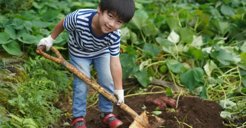 Nature Captions for Instagram for Boy