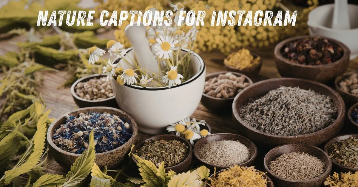 Nature Captions for Instagram