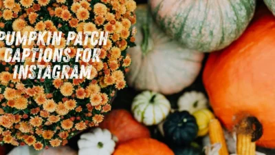 Pumpkin Patch Captions for Instagram