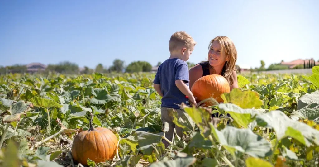 Pumpkin Patch Instagram Captions for Family