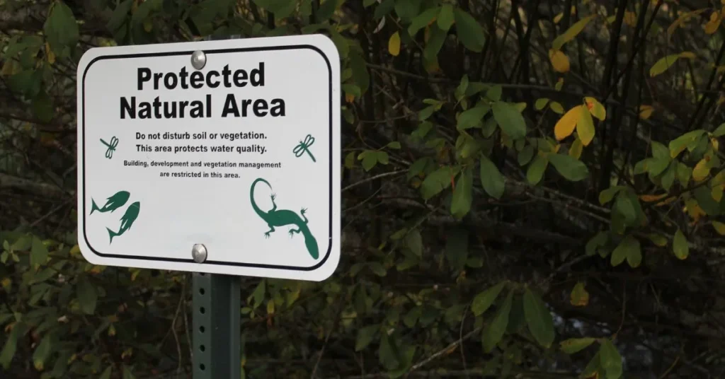 Short Nature Captions for Instagram