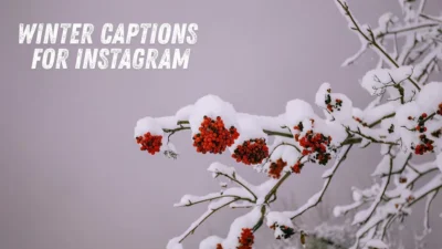 Winter Captions for Instagram
