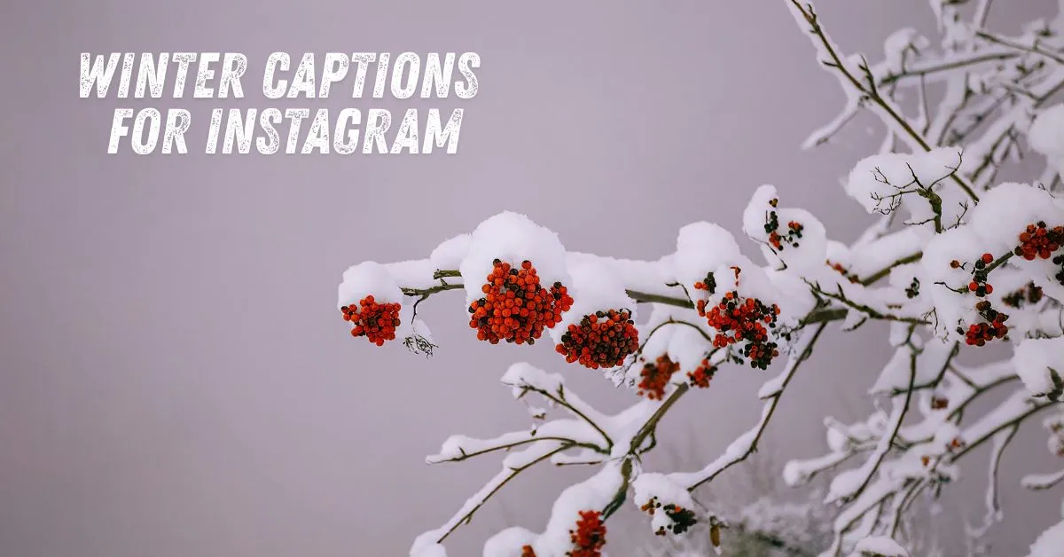 Winter Captions for Instagram