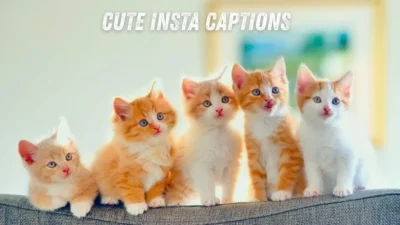 Cute Insta Captions