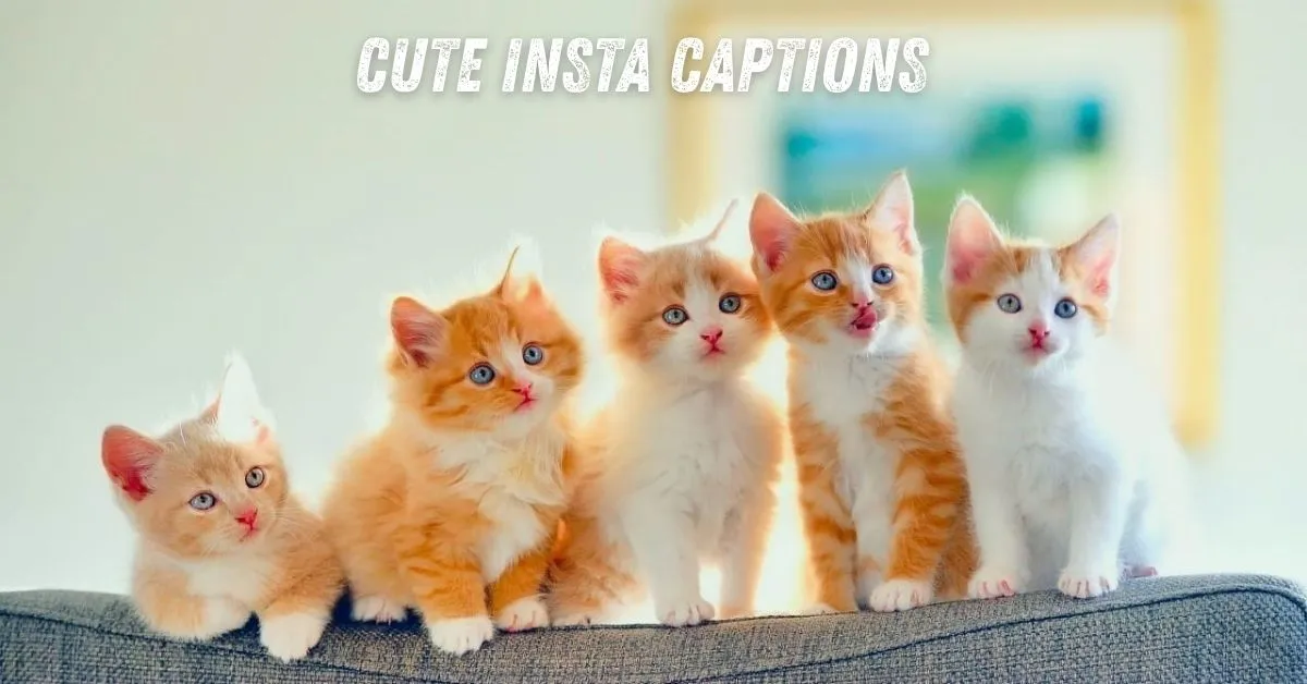 Cute Insta Captions