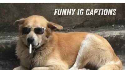 Funny IG Captions