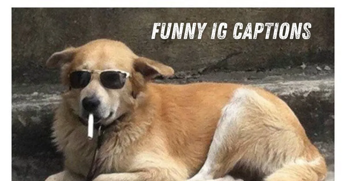 Funny IG Captions