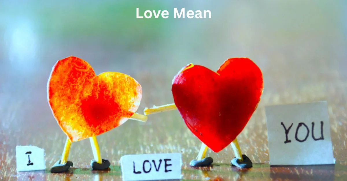 Love Mean