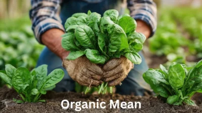 Organic Mean