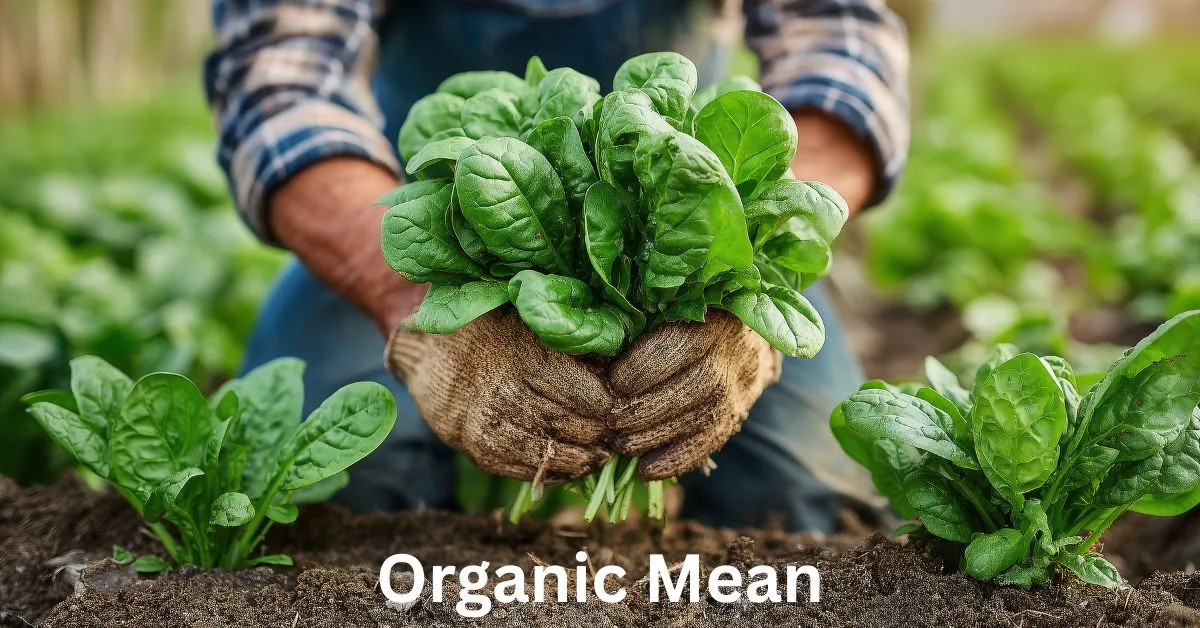 Organic Mean