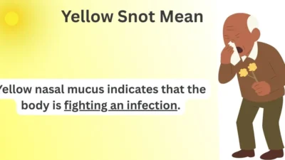 Yellow Snot Mean
