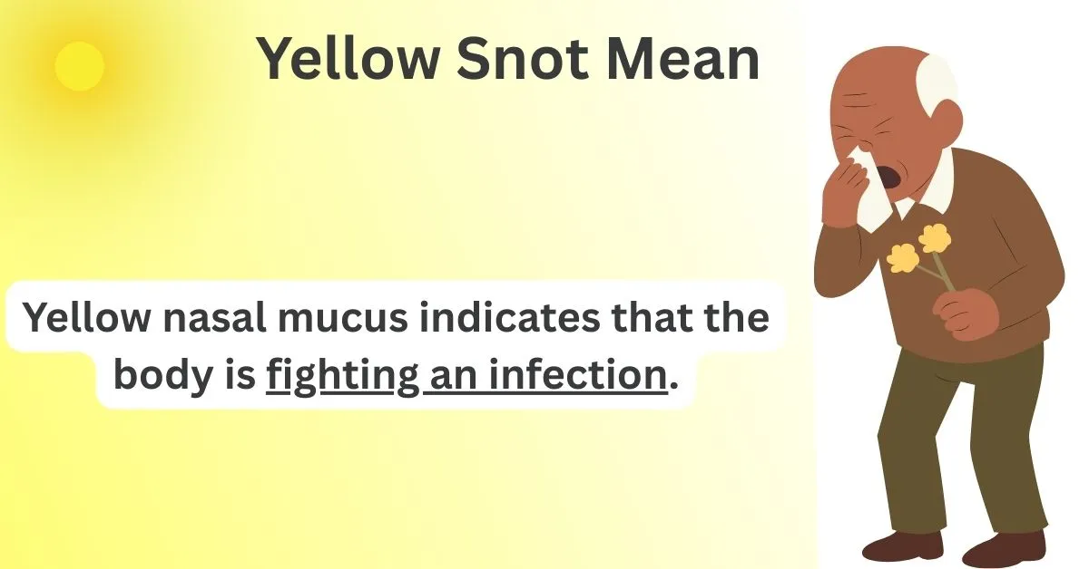 Yellow Snot Mean