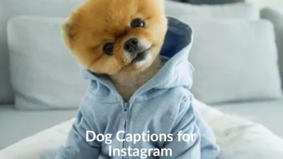 Dog Captions for Instagram